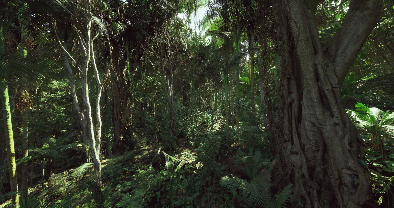 Enigmatic primeval forest featuring tangled roots and hanging vines
