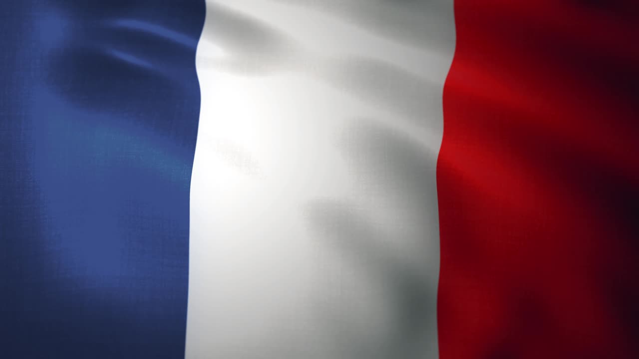 루프 가능한 전체 화면 프랑스 발은 느린 동작으로 흔들리고 있습니다.