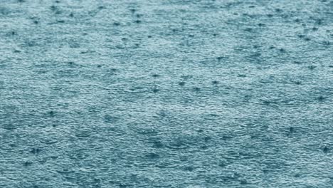 abstract background, rain drops on the water