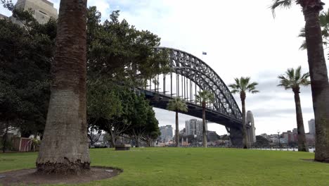 Palm-Tree-With-Harbour-Bridge-At-Background-In-Sydney,-New-South-Wales,-Australia