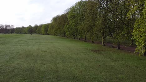 footpath in an all in one park in nice weather, green belt, cologne, germany