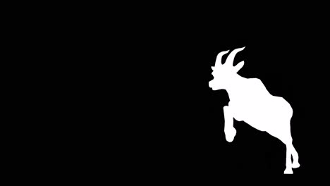 a gazelle running jumping on black background with alpha channel included at the end of the video, 3d animation, perspective view, animated animals, seamless loop animation