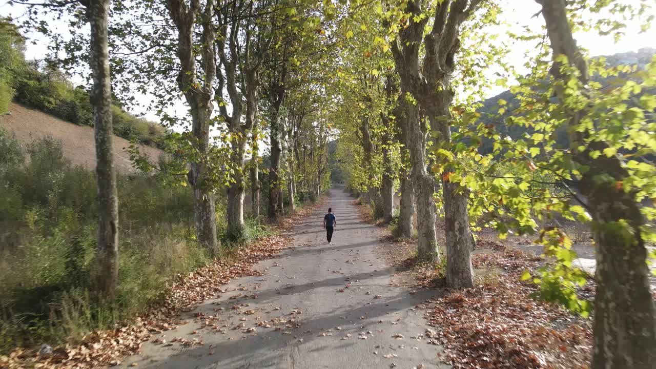 Passeggiata su strada autunnale dal drone