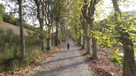 caminar otoño camino drone