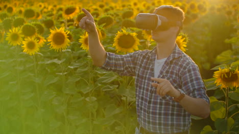 the young farmer is working in vr glasses. he is engaged in the working process. it is a beautiful sunny day in the sunflower field.