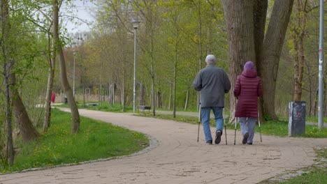 an older couple is nordic walking in a city park