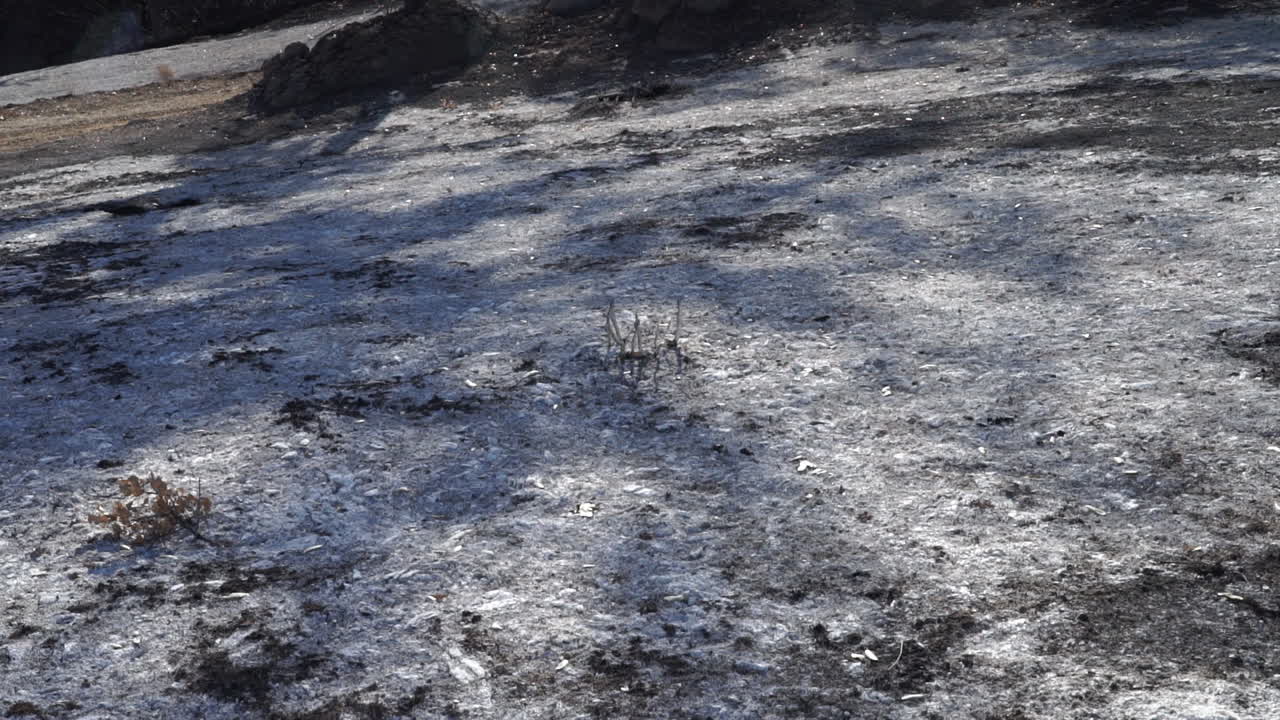 계곡 화재 여파, 2015년, 캘리포니아주 레이크 카운티