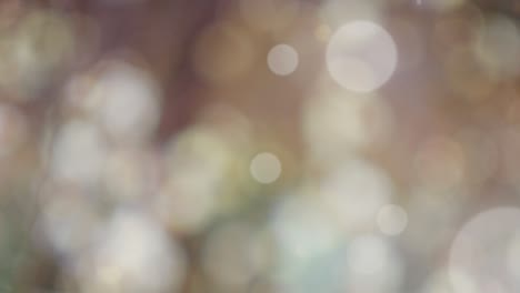 abstract summer background with bokeh