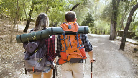 visão traseira de caminhantes carregando mochilas de acampamento e caminhada