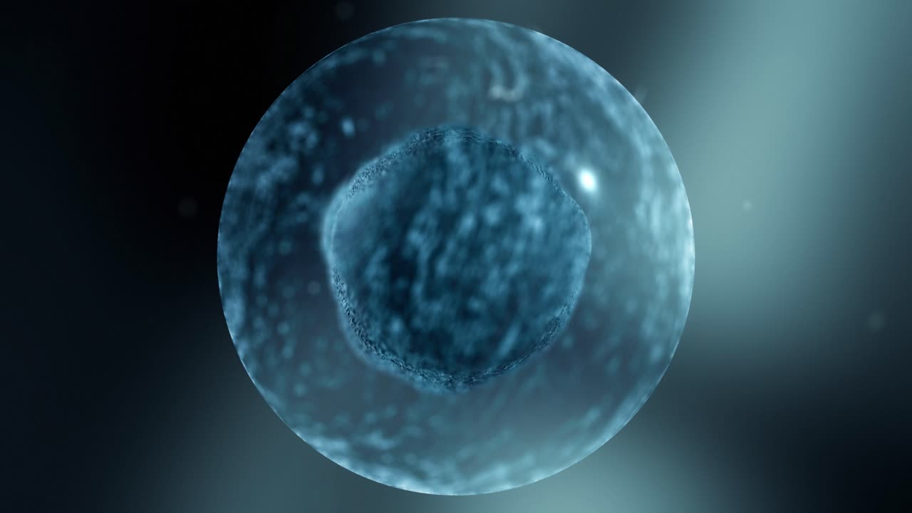 Single Cell Macro VFX – Medical Visualization