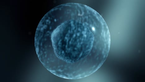 single cell macro vfx – medical visualization