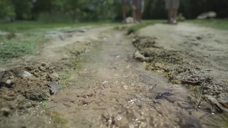 children playing by a creek in a park
