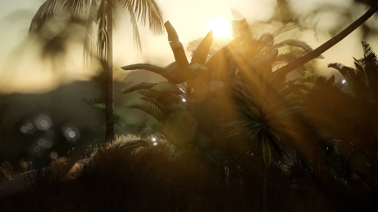 palmeras de coco paisaje tropical