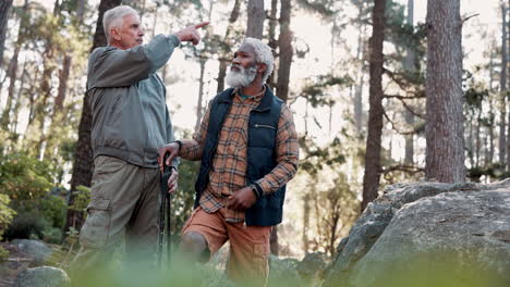 two senior men hiking in forest