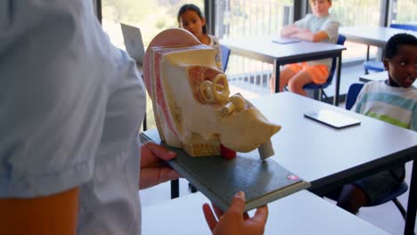 female teacher explaining about anatomical model in the classroom at school 4k