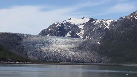 glaciar reid, parque nacional y reserva de la bahía de los glaciares, alaska en verano
