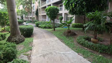 a peaceful stroll through a lush garden pathway.