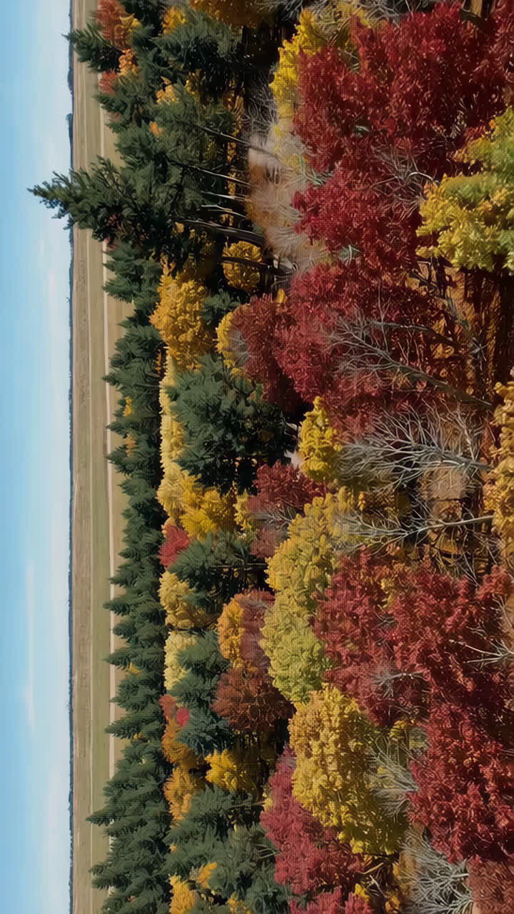 el follaje de otoño pasa por alto