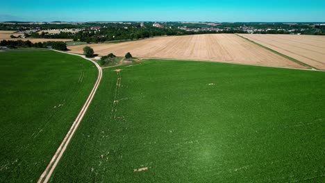 Drone-Ländliche-Landschaftsaufnahmen-Mit-Wiesen,-Feldern-Und-Einer-Kleinen-Straße-In-Frankreich