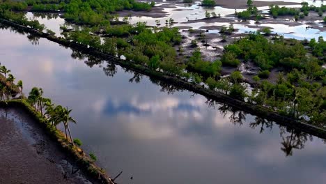 Aerials-of-a-wide-water-canal-and-swampy-land-with-lush-vegetation-in-the-distance