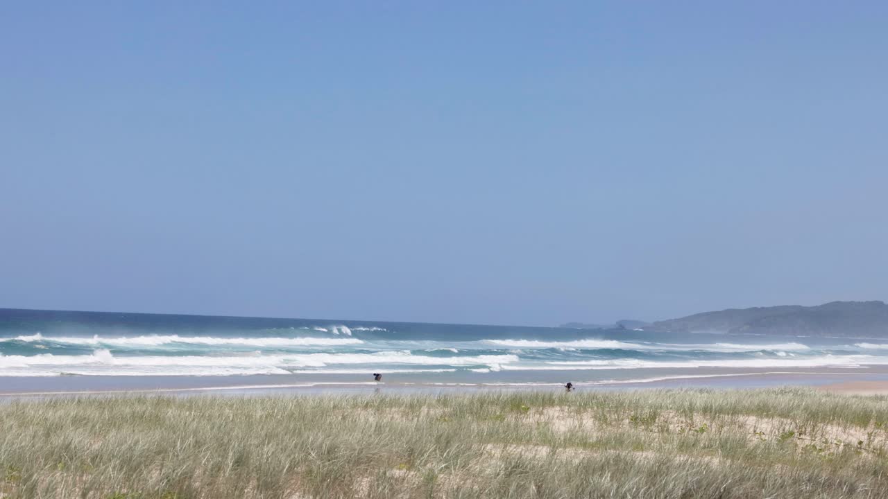 파도와 먼 언덕이 있는 평화로운 해안 풍경