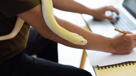 hombre trabajando con serpiente en casa