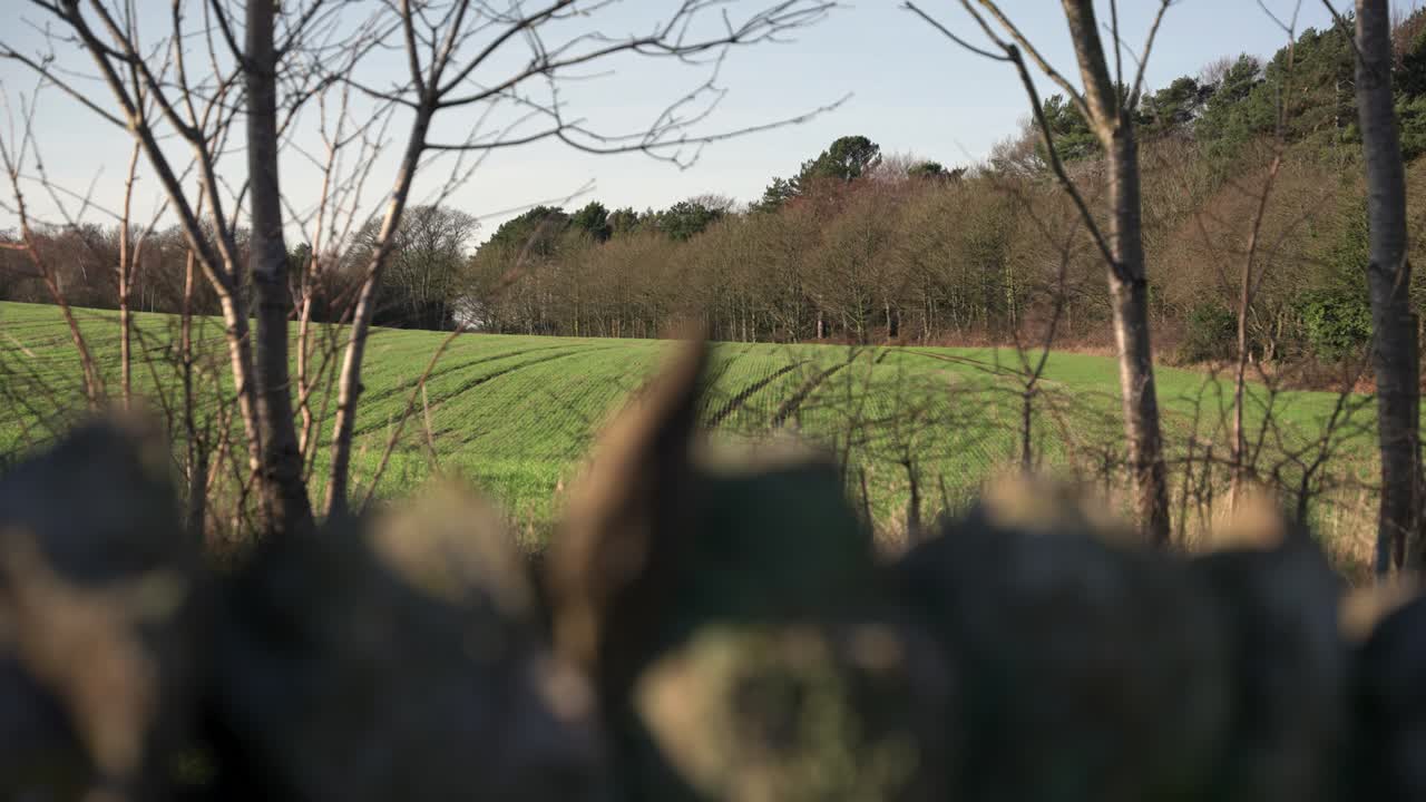 Vista di campi verdi nella campagna inglese che si affaccia su un muretto a secco in inverno