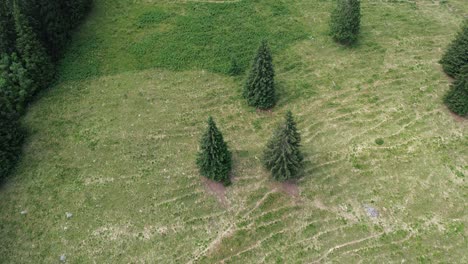 Linien-Und-Spaziergänge-In-Der-Drohne-Der-Pfadfindergruppe-Helfen,-Sich-Selbst-Kennenzulernen