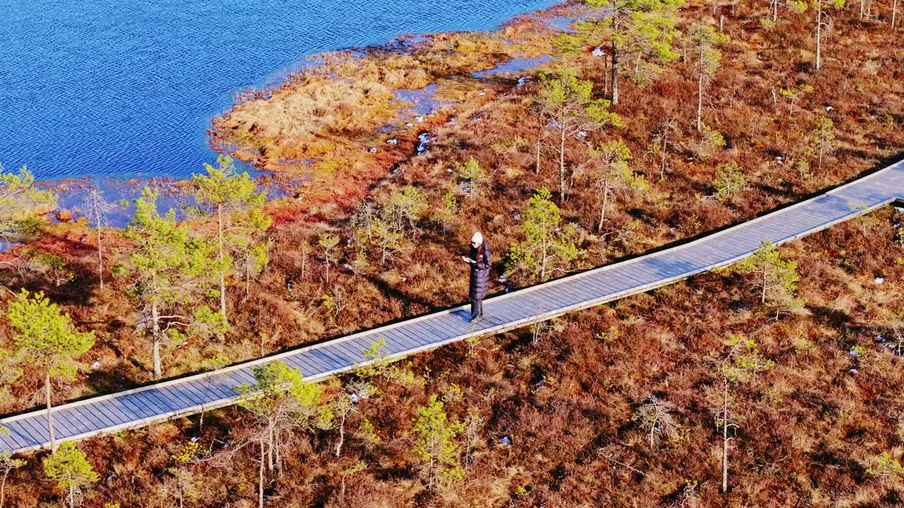 Drone captures Bezdibenis Lake nestled in pine forest along Kalnansu walkway