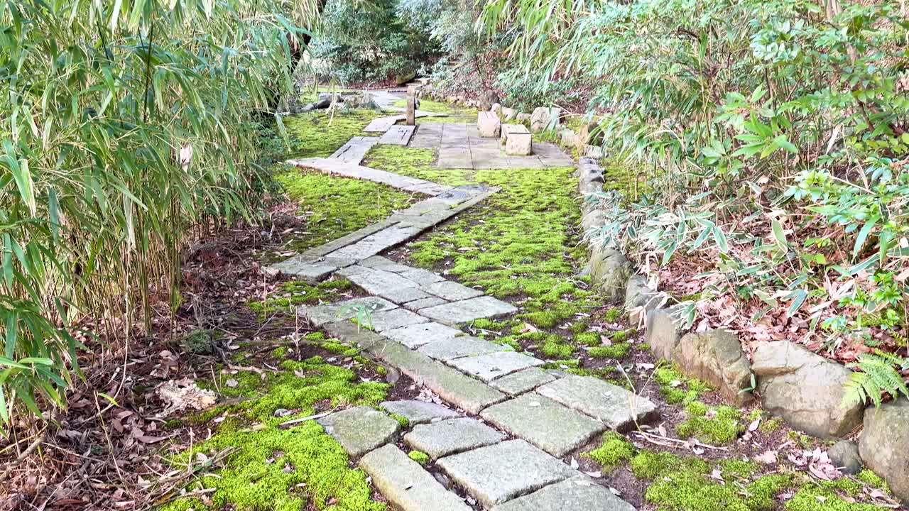 A slow camera tilt reveals a zigzag stone path surrounded by lush green moss