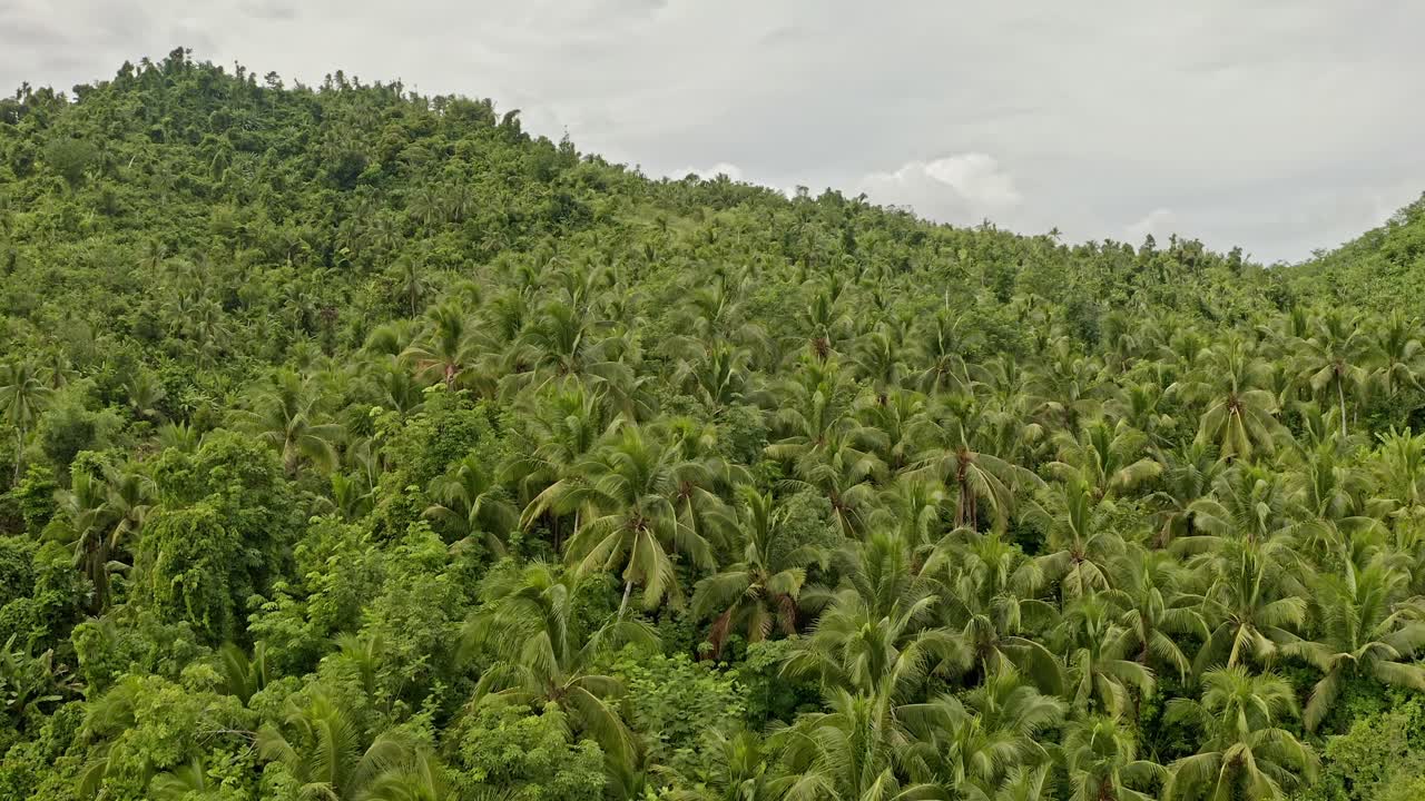 vista aérea ascendente sobre la selva tropical en bonifaciao en las filipinas
