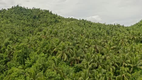 Aerial-ascending-view-over-the-jungle-rainforest-in-Bonifaciao-in-the-Philippines