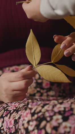 hands of woman in wheelchair turn dry ash leaves. mom takes new bright yellow leaves from girl. mother and daughter play in autumn park together at sunlight