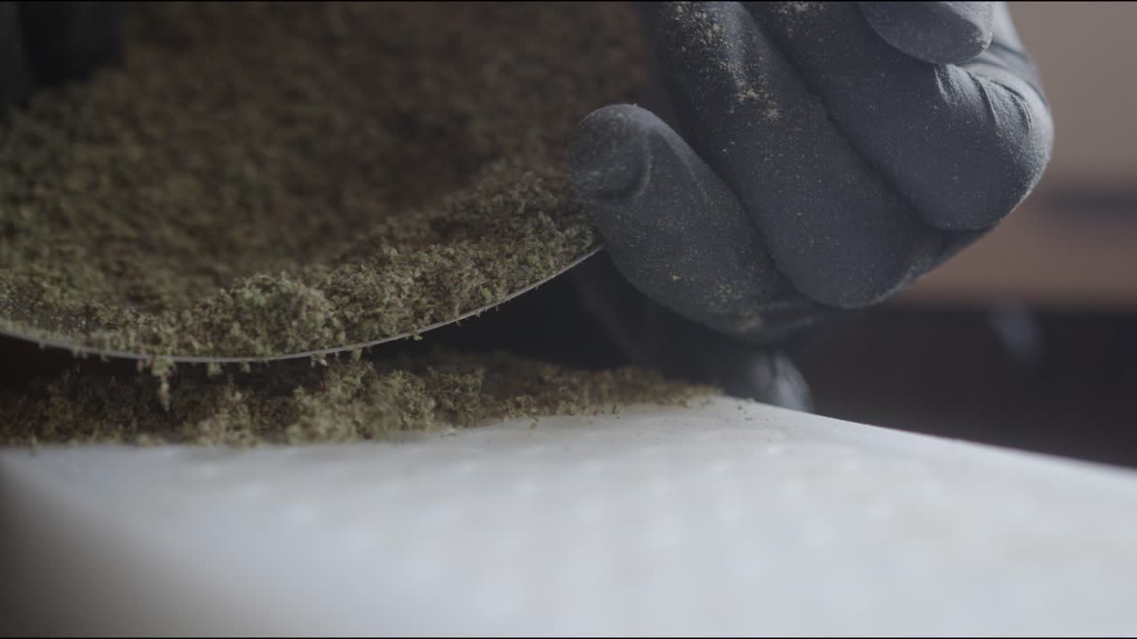 Spingere particelle di polvere di marijuana in piccole vaschette di plastica.