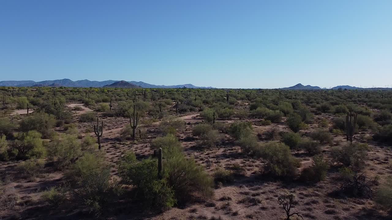 remoto paisaje desértico estéril con cactus y montañas durante una clara mañana azul soleada