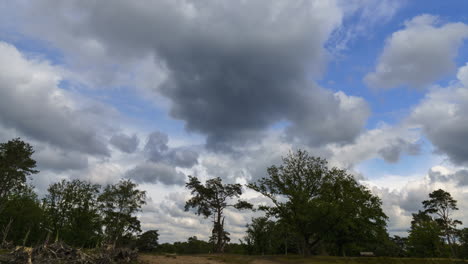 sunny spells above the heath