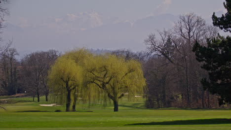 young golfer playing on a sunny spring day in switzerland, showcasing precise chipping, putting, bunker, and approach shots. perfect for sports, lifestyle, and outdoor themes.