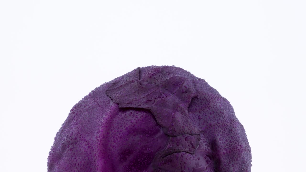 disparo de primer plano de la parte superior de un mini repollo púrpura entero con gotas de agua. girando lentamente en la mesa giratoria aislada en el fondo blanco. macro.