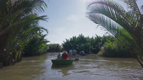 a peaceful scene of a single coconut drifting gently along the calm river in hoi an, capturing the charm of vietnam's natural beauty and traditional waterways.
