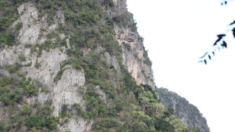 scenic view of towering limestone cliffs with lush greenery.