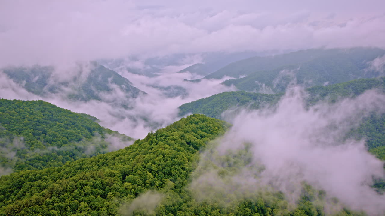 Drone captures the foggy quiet of the Smoky Mountain wilderness