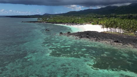 scenic tropical island coastline featuring crystal clear ocean and palm tree forest