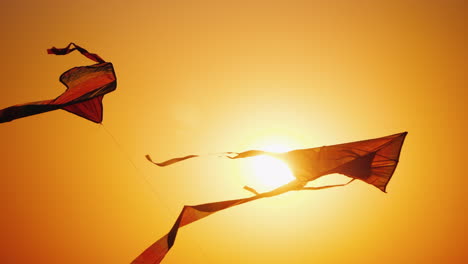 a kite flies in the rays of the setting sun childhood and dreams concept