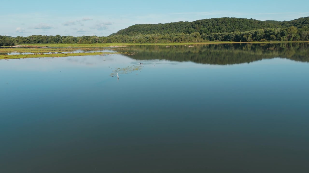 Calm Lake Eucha water reflecting blue sky and shoreline with egret or great blue heron in center of water, aerial overview
