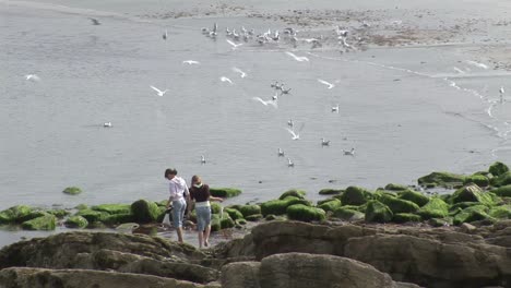 la costa irlandesa de clare