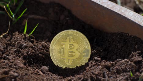 static shot of light hitting off of a golden bitcoin sitting in the dirt