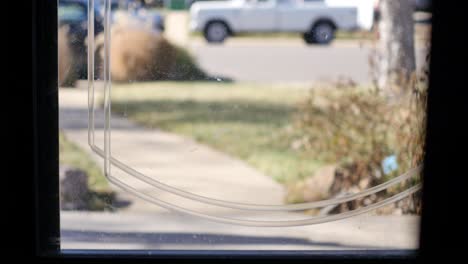 Face-of-little-black-dog-with-big-ears-who-walks-away-from-glass-front-door-and-then-jumps-back-over-to-look-out-again