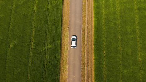 Luftaufnahme-Von-Oben-Nach-Unten,-Während-Das-Auto-Durch-Felder-Fährt