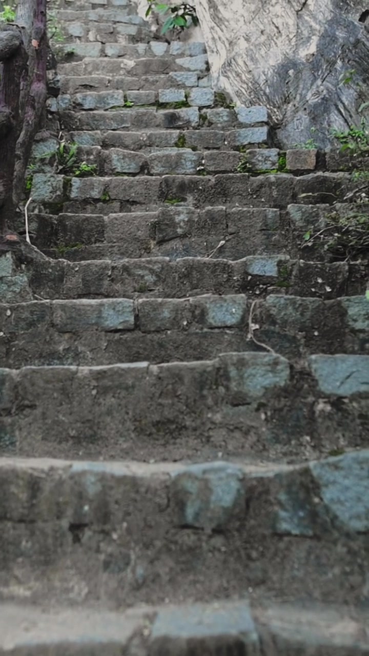 Vertical screen Mosscovered Stone Steps Da Nang Vietnam, Steep Weathered Staircase Framed By Exposed Tree Root Railing And Patches Of Green Moss, Rough Bluegray Masonry Blocks With Lichen,