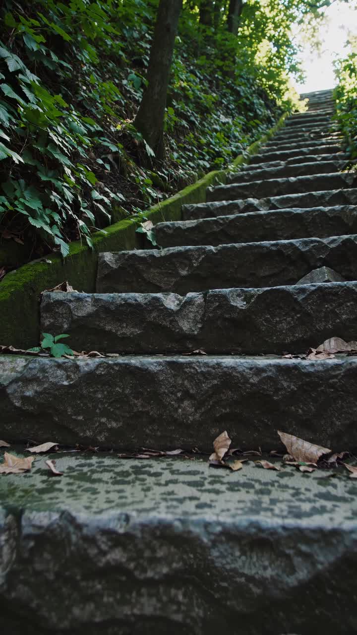 Video of stone steps in a lush forest, captured from a low angle